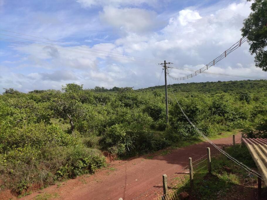 Kamanabillu Homestay, For Jog Falls Travellers Siddapur Екстериор снимка