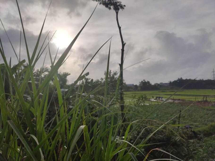 Kamanabillu Homestay, For Jog Falls Travellers Siddapur Екстериор снимка