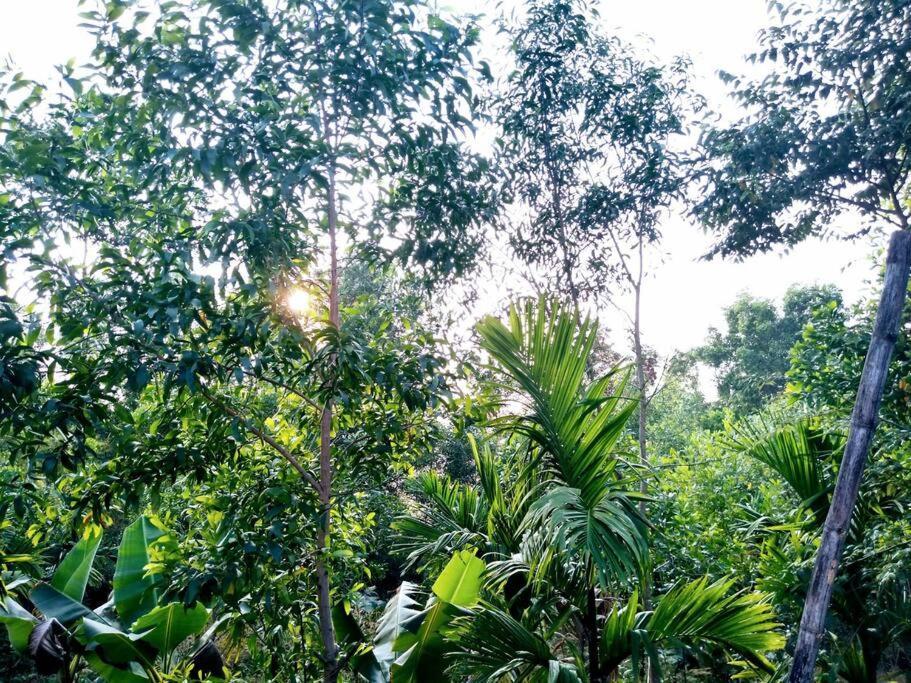 Kamanabillu Homestay, For Jog Falls Travellers Siddapur Екстериор снимка
