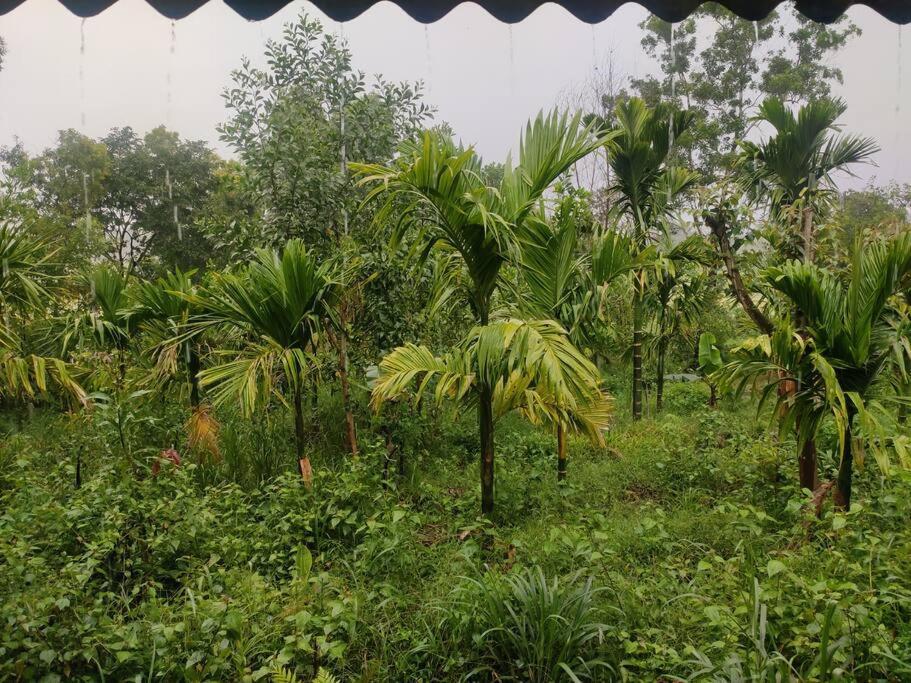 Kamanabillu Homestay, For Jog Falls Travellers Siddapur Екстериор снимка